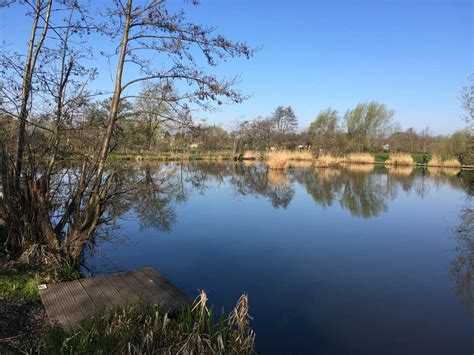 This involves building earthen, concrete or tarpaulin ponds. UK fishing venues: Elm Tree Farm Fishery (Horseshoe Lake ...