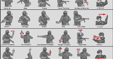 Military Hand Signals Survival Pinterest Hand Signals Military