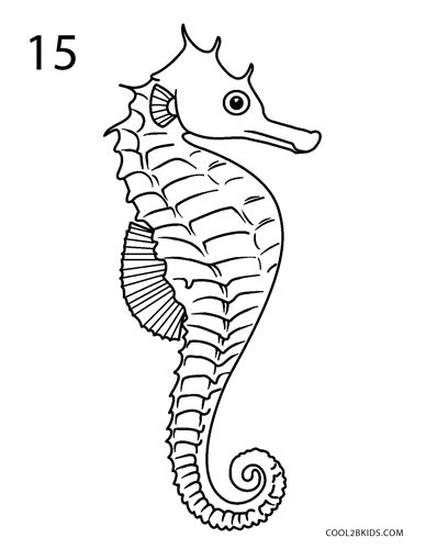 Sea Horse Easy Cute Seahorse Drawing Mh Newsoficial