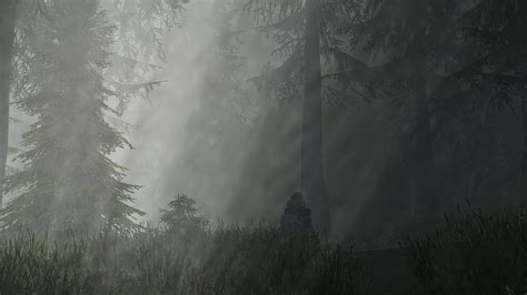 Forest At Skyrim Special Edition Nexus Mods And Community