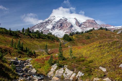 3 Easy Hikes In Mount Rainier National Park — Hiking For Donuts