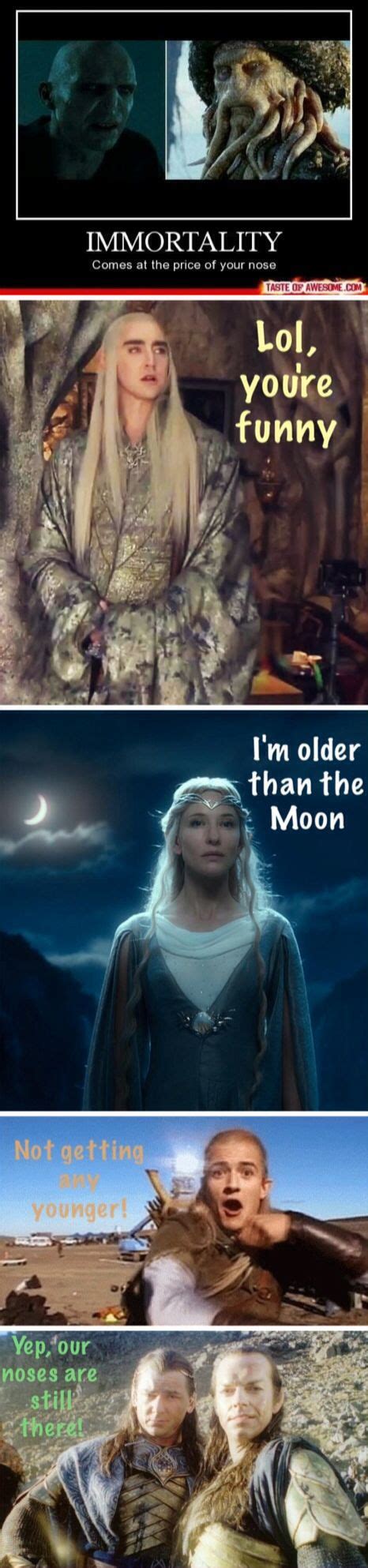 Lotr Funny Pics Pic Two Lord Of The Rings The Hobbit Legolas