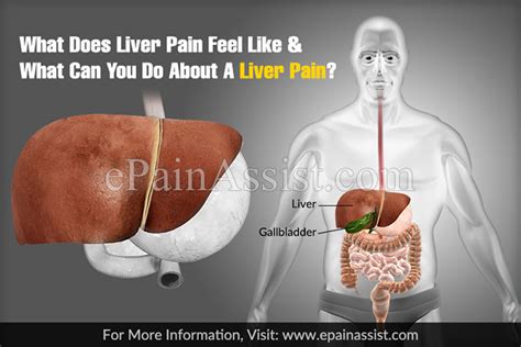 Liver Pain Symptoms Location