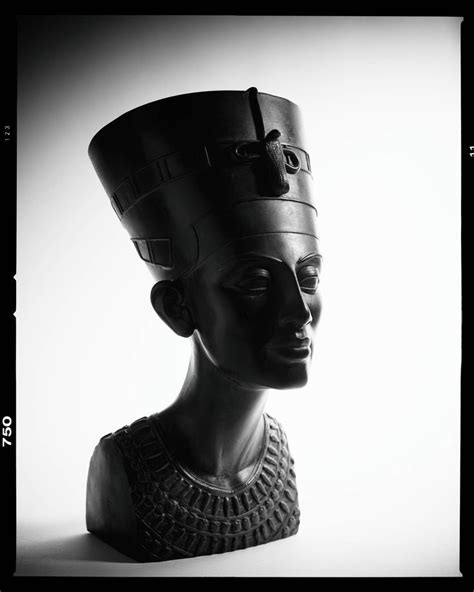 Still Life Bust Of Nefertiti Black And White Film Border Black Art Pictures Nefertiti Art