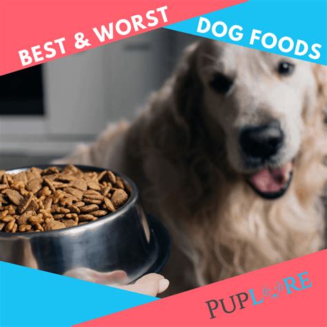 These worst dog food brands below have corn as the main ingredient. 16 Worst Dog Food Brands to Avoid in 2020 +16 Top Choices