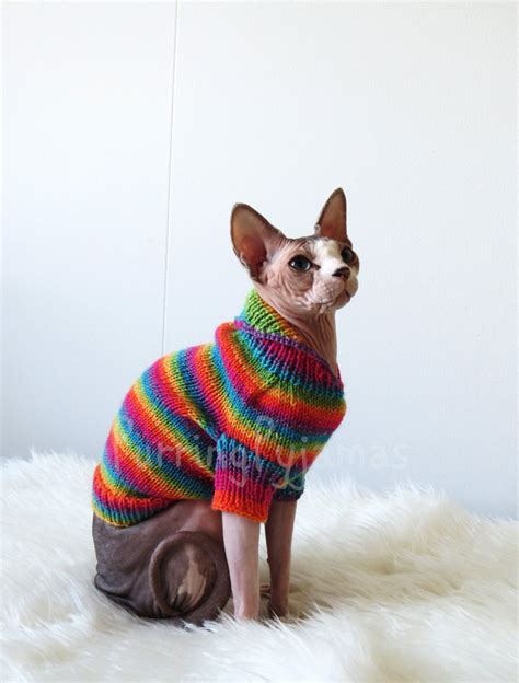 Hairless Cat In Sweaters Hairless Kitten Cat Sweaters Chat Sphinx