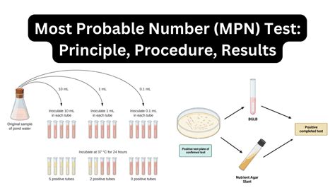 Most Probable Number Mpn Test Principle Procedure Results