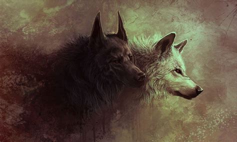 Dark Wolf Wallpapers Wallpaper Cave