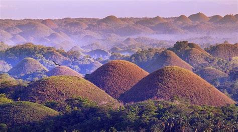 The chocolate hills philippines are about 1,268 hills in number varying in size from 30 metres to the largest being 120 metres in height. Ritebook: The Chocolate Hills of Bohol, Philippines