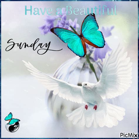 Butterfly Dove Beautiful Sunday Animated Quote Pictures Photos And