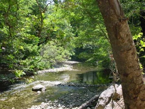 Riverside campground & cabins | highway 1, big sur, ca 93920 phone: RIVERSIDE CAMPGROUND AND CABINS - Updated 2018 Reviews ...