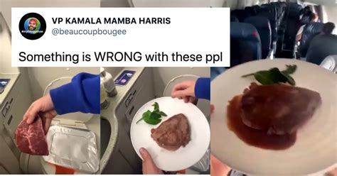 tiktoker cooks steak on airplane toilet and everyone hates it