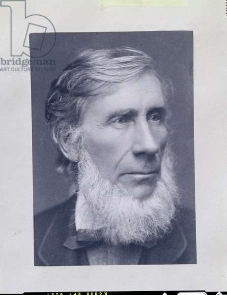 Image Of Portrait Photograph Of John Tyndall 1820 93 Irish Physicist