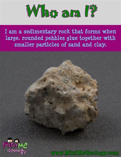 Conglomerate Sedimentary Rock Mini Me Geology Sedimentary Rocks