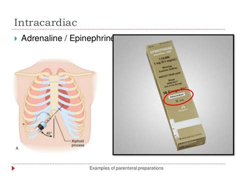 Adrenaline and cardiac resuscitation how much to use, when to use it and when not to use it. ADRENALINE INTRACARDIAC PDF
