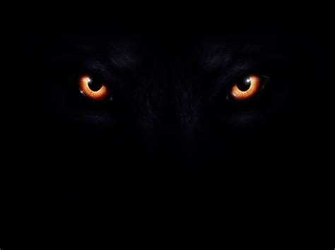 Evil Wolf Eyes Wallpapers Top Free Evil Wolf Eyes Backgrounds