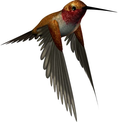 Free High Resolution Png Images, Download Free High Resolution Png