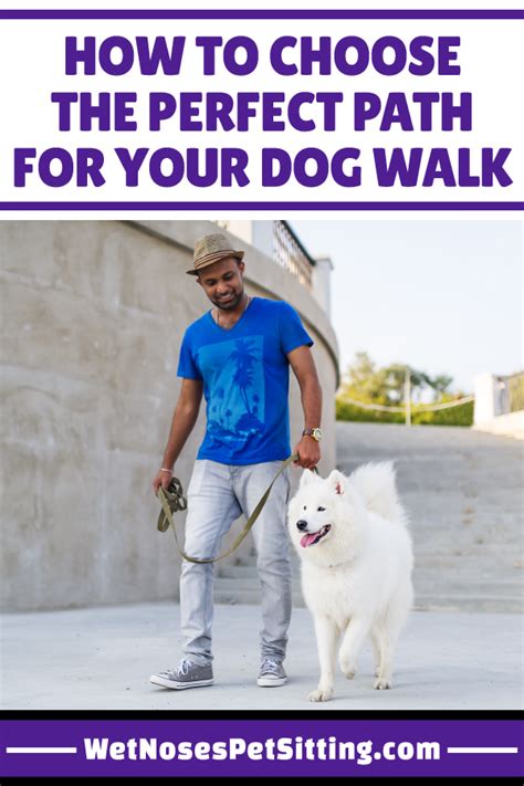 Whether you need to find a cat sitter at the last minute, or if you need a cat sitting service on an ongoing basis, our directory can help you find the right company for your favorite furry feline friend. Choosing a Path for your Dog Walk | Dog walking, Dog ...