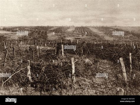 World War 1 Miles Of Barbed Wire Forms A Maze Of Twisted Stands