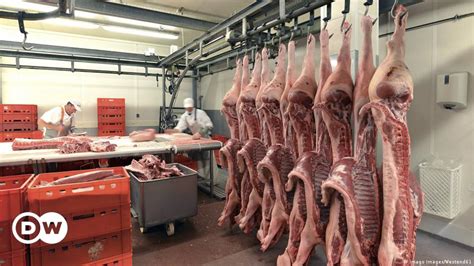 German Meat Industry Caught Up In New Scandal DW