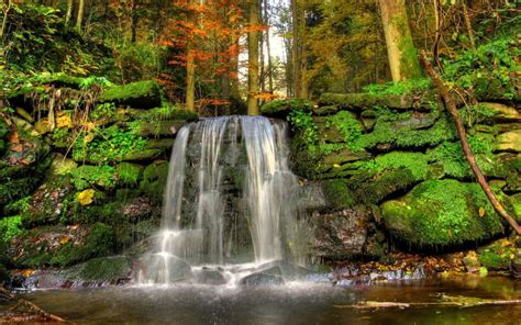 Waterfall Woods Rocks Landscape Moss Stream Nature Wallpaper