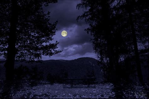Moonlight Scenery By Villewilson On Deviantart