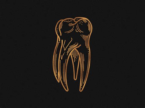 Anatomy Tooth By Lisa Korz On Dribbble