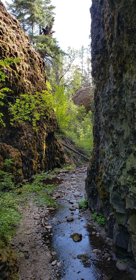 Boulder Cave Trail Naches 2019 All You Need To Know Before You Go