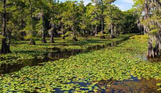 What Are Natural Resources - Natural Resources : This includes all of