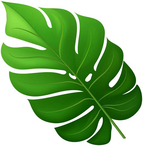 Tropical Leaf Png Clipart Gallery Yopriceville High Quality Clip