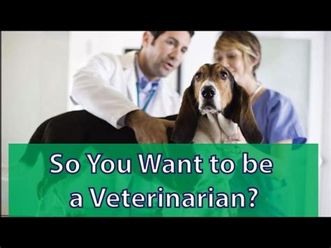 So You Want To Be A Veterinarian