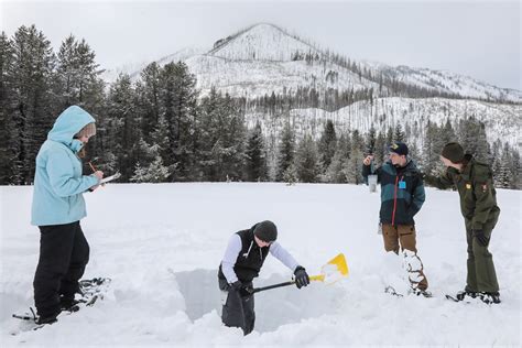 Winter Ecology Field Trip Grades 6 To 12 Glacier National Park Us