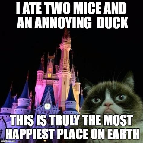 Grumpy Cat Disney Imgflip