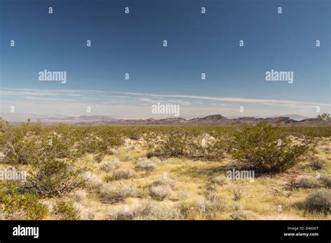 Joshua Tree National Park Mojave Desert California Usa Stock Photo