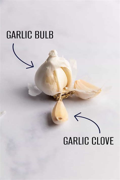 What Is A Clove Of Garlic Mktchnrecipes