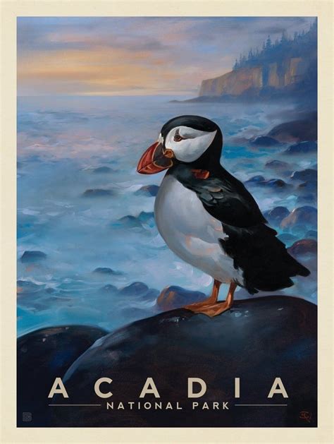 Maybe you would like to learn more about one of these? Acadia National Park: Puffin-KC | Anderson Design Group ...