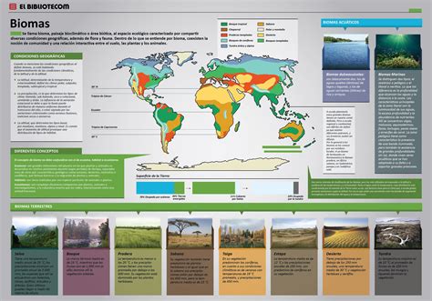 Mapa De Los Biomas Terrestres Biomas Bioma Terrestre Ecosistemas