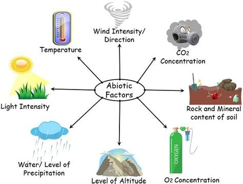 Abiotic Factors Definition Types Examples And Responses Vlrengbr