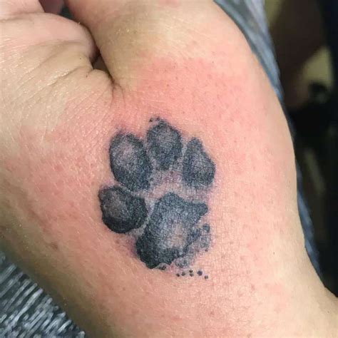 Cat Paw Prints Tattoo Cat Meme Stock Pictures And Photos