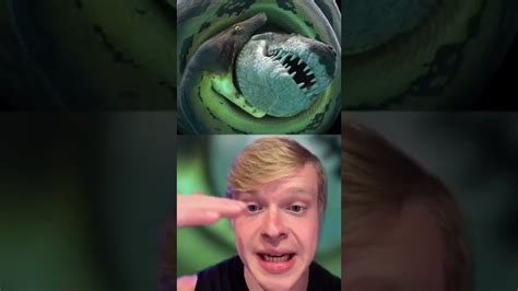 3 Terrifying Animals Youre Glad Are Extinct Shorts Youtube