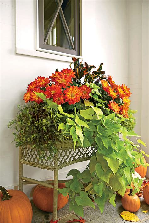 Outdoor Decorations For Fall Southern Living