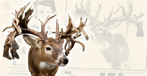 The Stories Behind The Biggest Whitetail Deer—ever Boone And Crockett