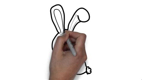 Cómo Dibujar Un Conejo Youtube