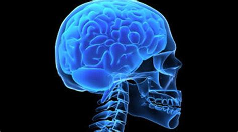 Edema cerebral causas y síntomas Todo lo que necesitas saber