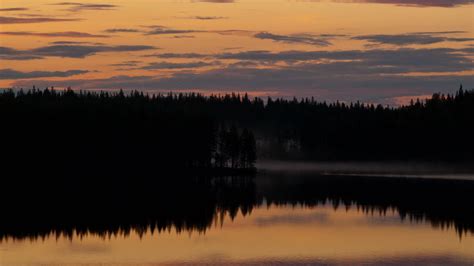 Download Wallpaper 1920x1080 Trees Silhouettes Lake Reflection