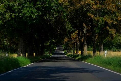 Landscape Photography Of Concrete Road Between Trees · Free Stock Photo