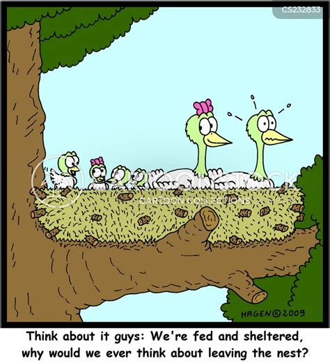 Empty Nest Cartoons And Comics Funny Pictures From Cartoonstock