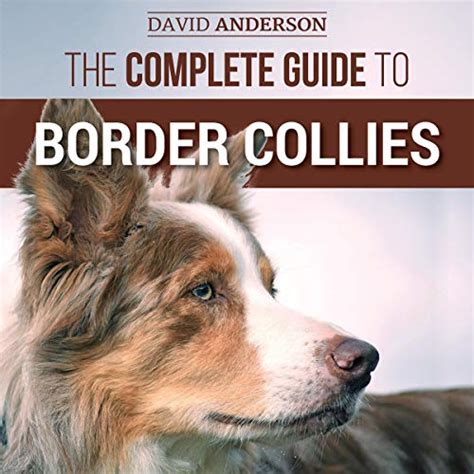 The Complete Guide To Border Collies Training Teaching Feeding