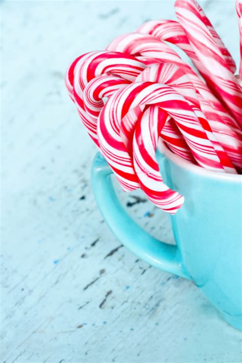 The 15 Best Recipes That Feature Candy Canes The Stress Free Christmas