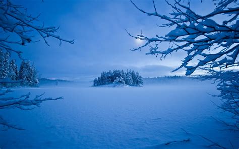 Winter Hd Wallpaper Background Image 1920x1200 Id389289